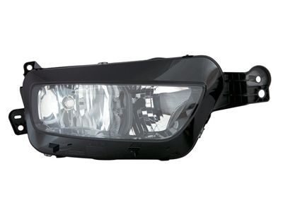 0979962 VAN Wezel Luz direita